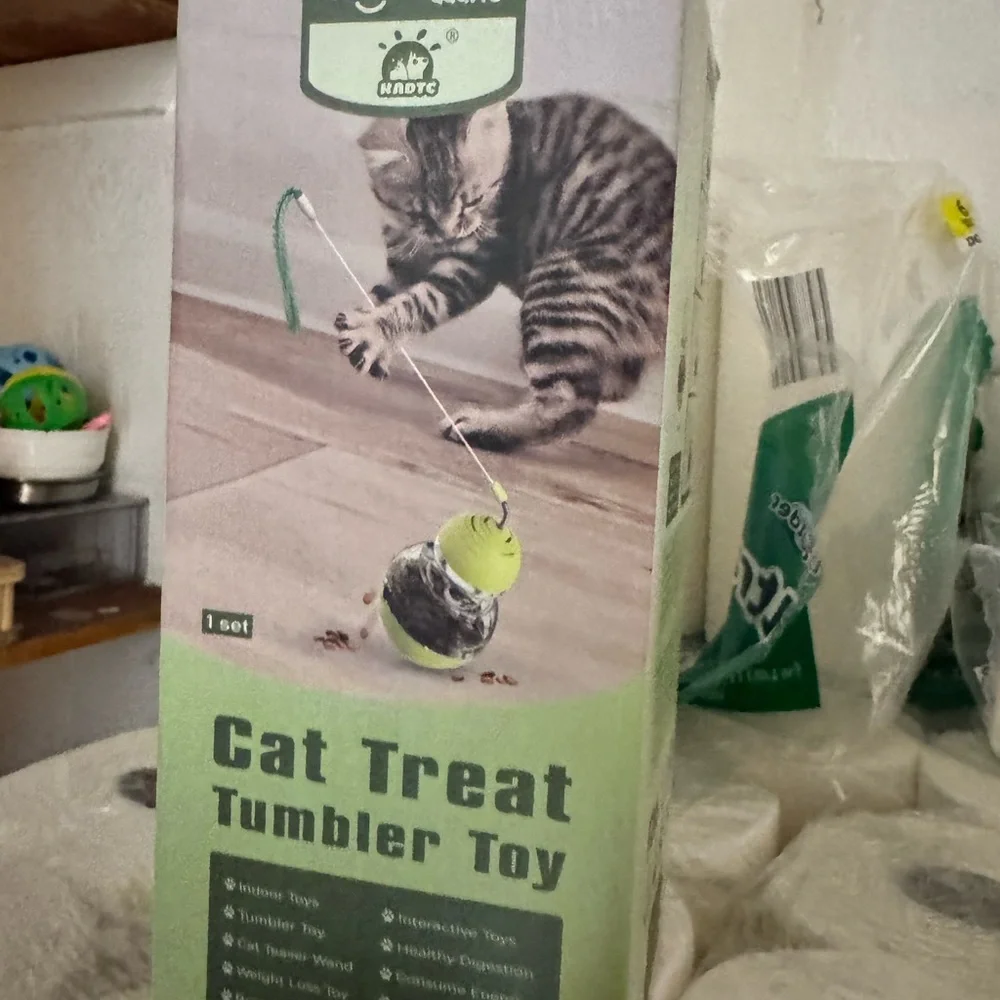 Grass Patch Hunting Box for Cats, water fountain, dry gravity feeder & toys lot